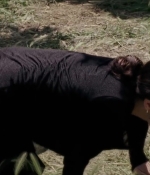 Filename=Twins_00933.jpg
Filesize=134KiB
Dimensions=1280x720
Date added=Jul 06, 2025 Twins_00933.jpg