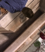Smallville9x08_0374.jpg